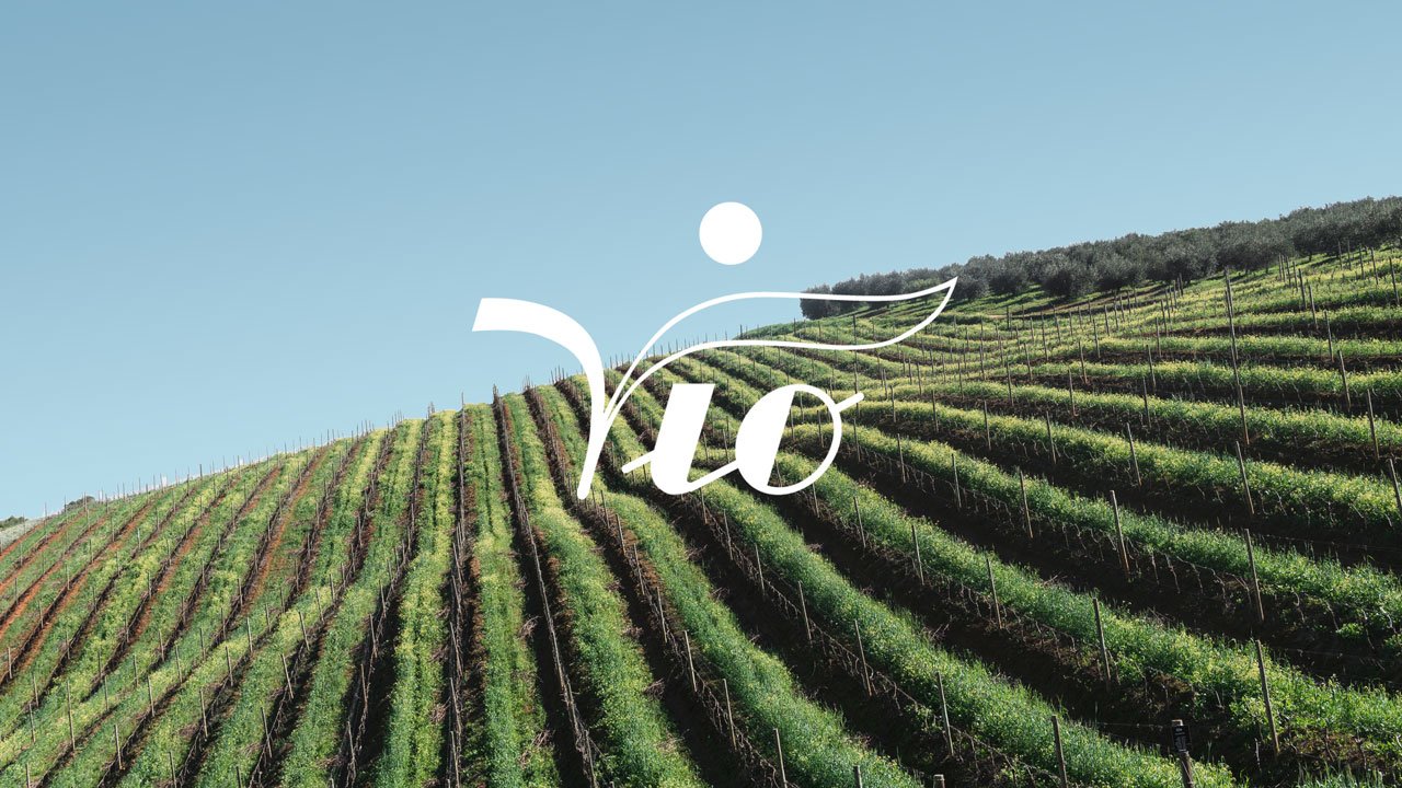 logo su vigneto liguria biovio